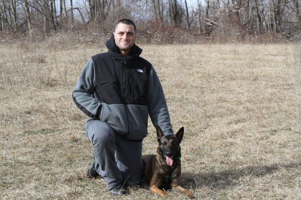 Puppy Trainer Wilton Ct Vincent Demaio Dog Trainer